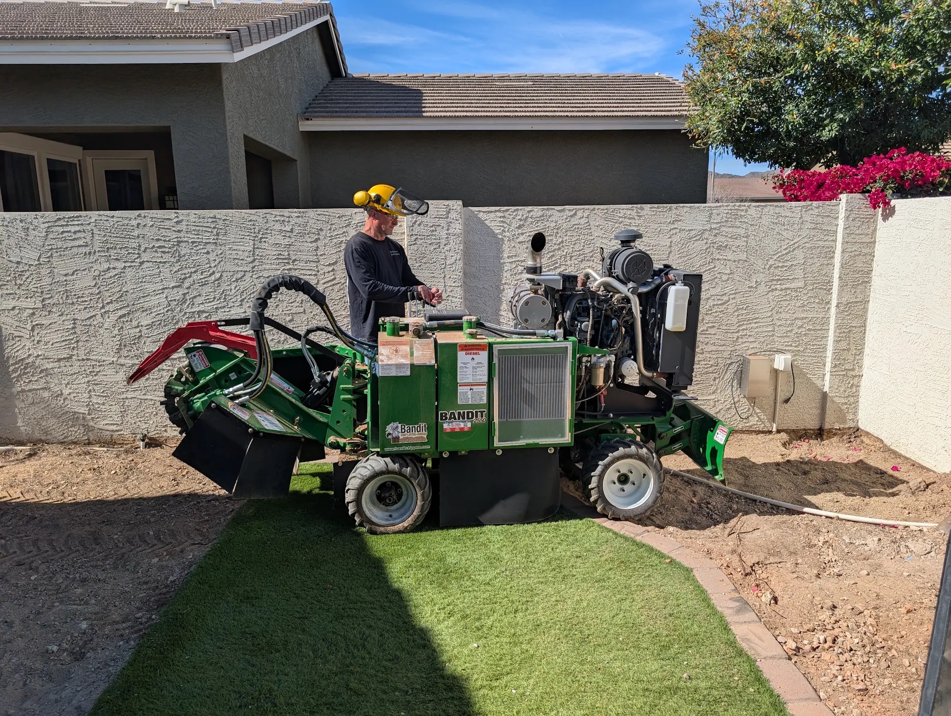 Hungry Beaver commercial-grade stump grinder in action