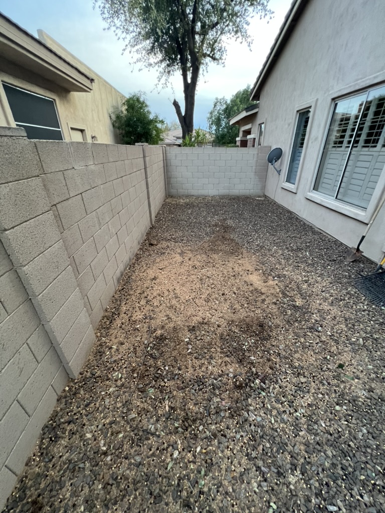 Yard after stump grinding — clean, level, ready for landscaping