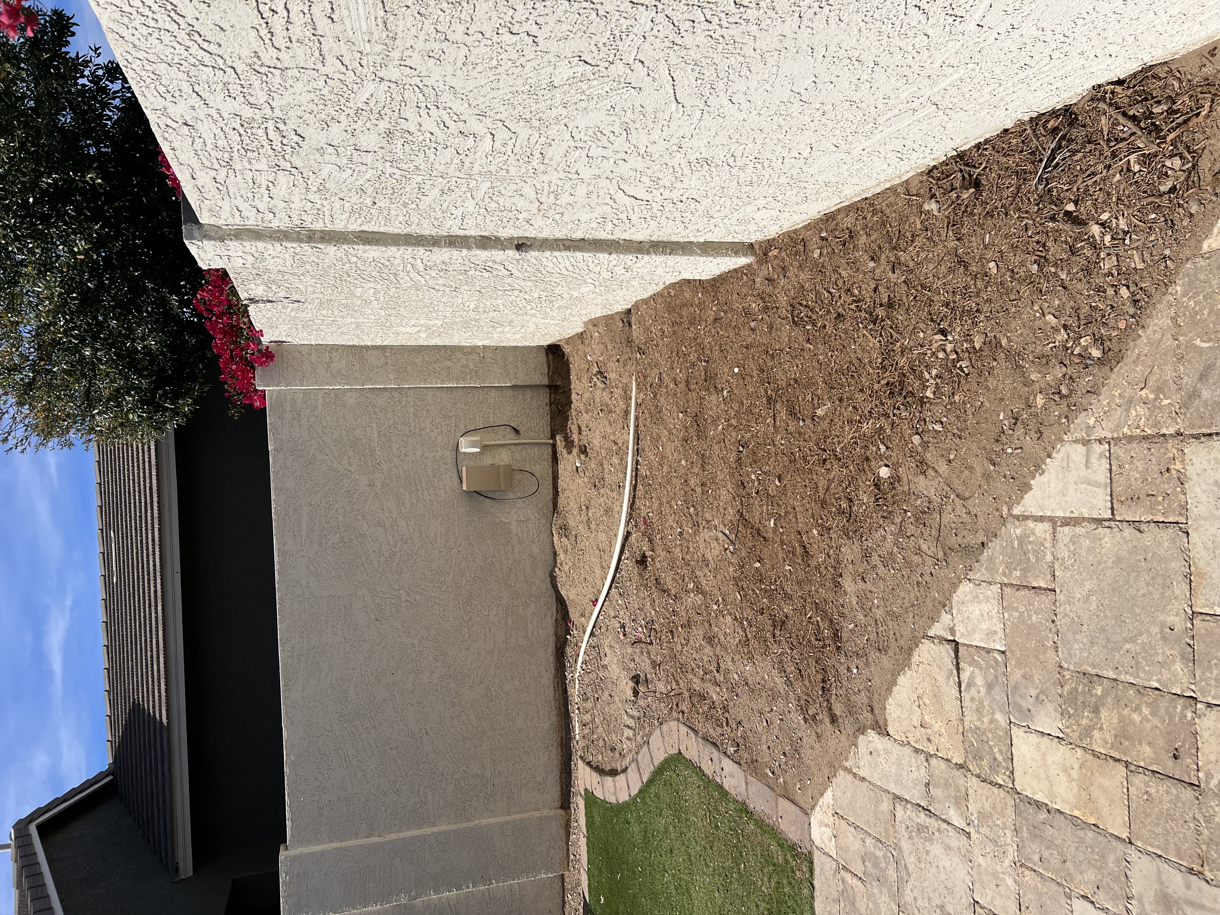 Yard after stump grinding — clean, level, ready for landscaping