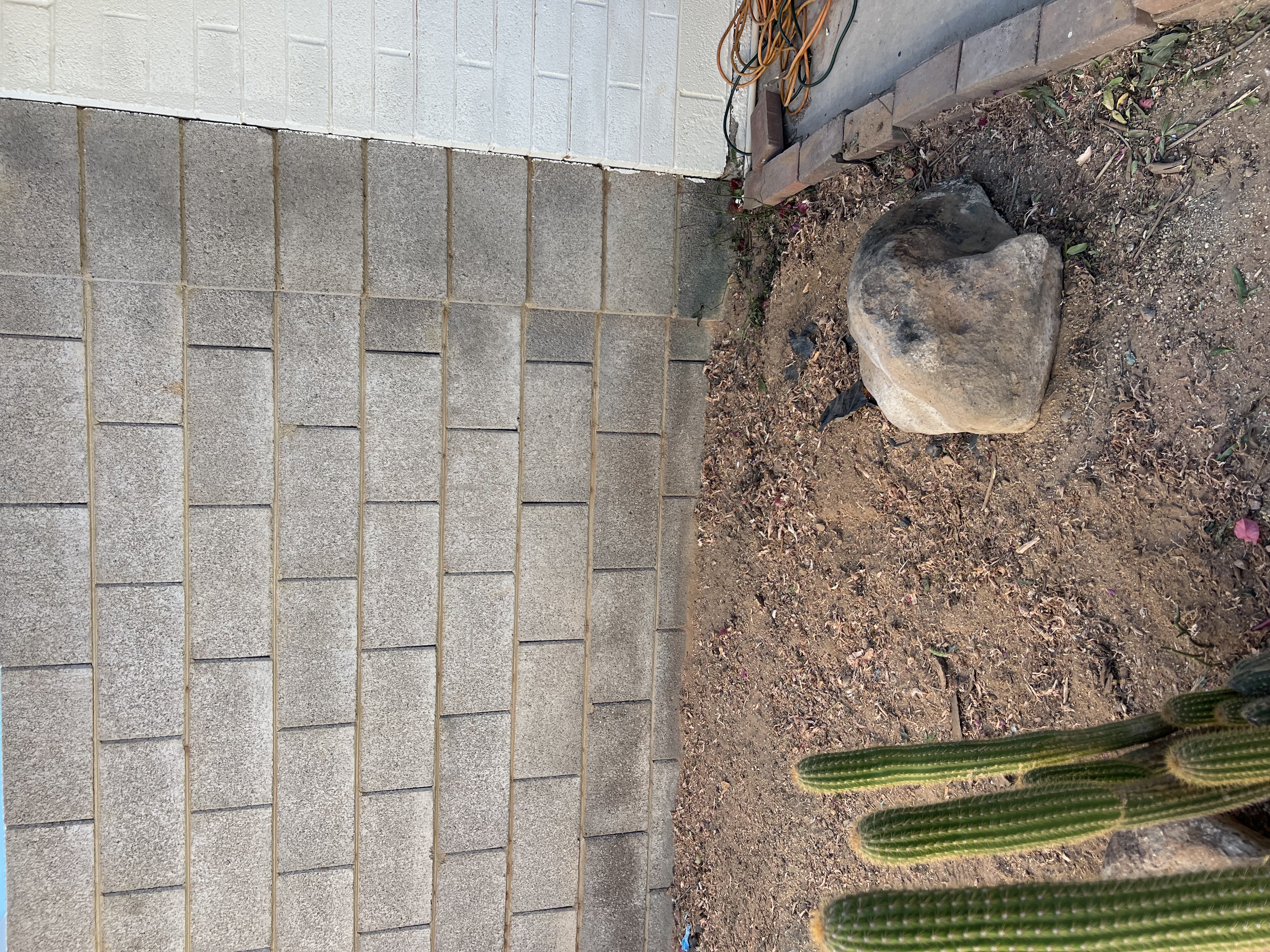 Yard after stump grinding — clean, level, ready for landscaping