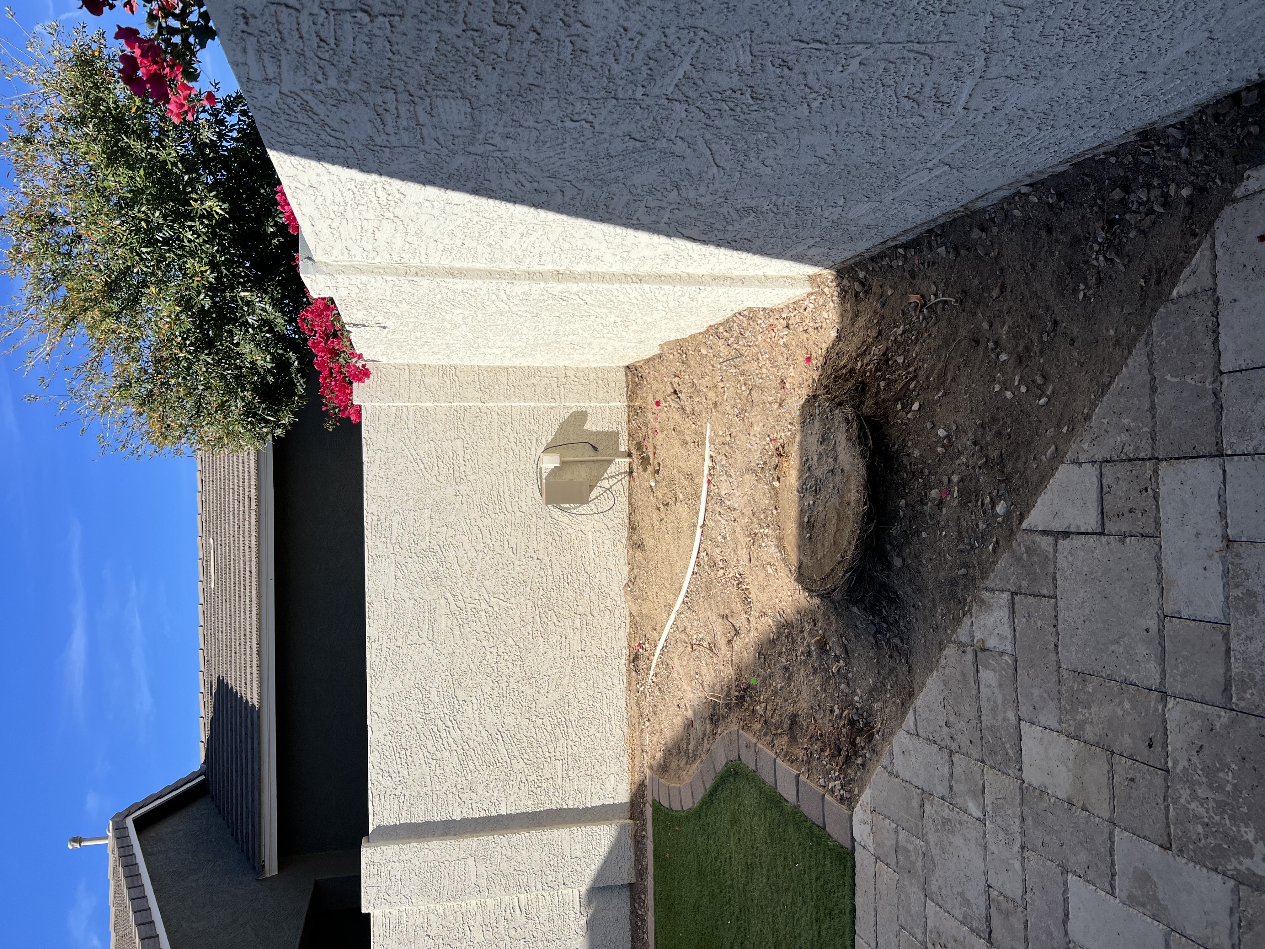 Tree stump before professional grinding — Phoenix Valley, AZ
