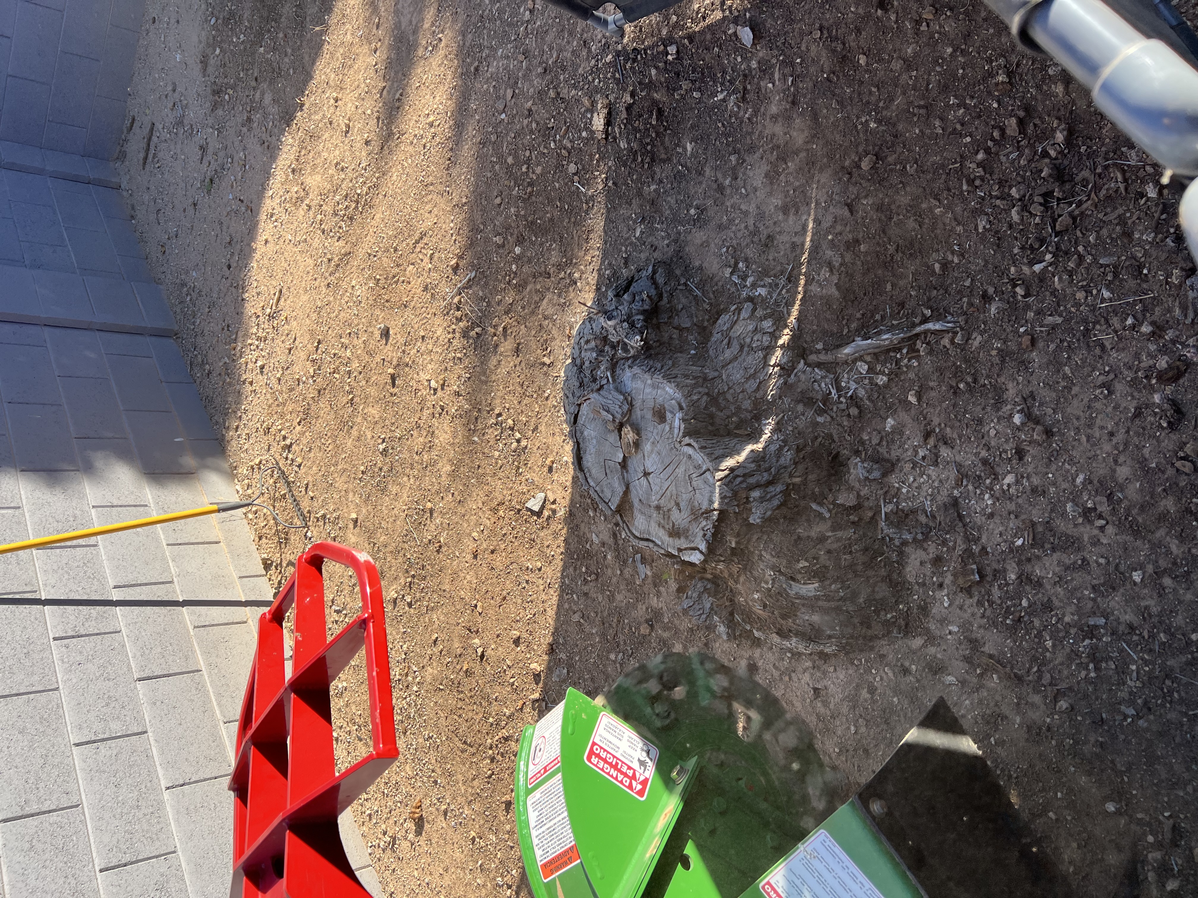 Tree stump before professional grinding — Phoenix Valley, AZ