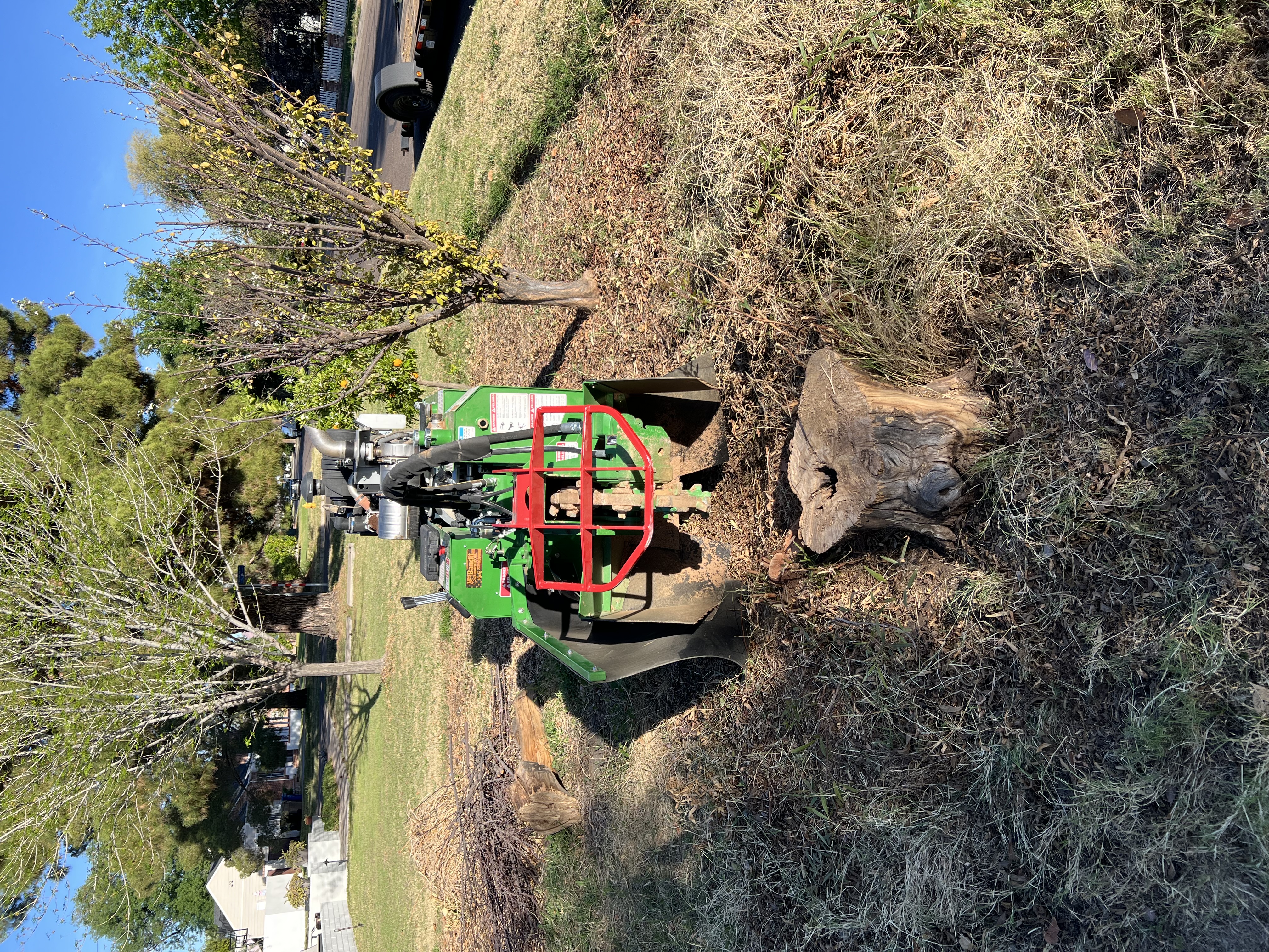 Tree stump before professional grinding — Phoenix Valley, AZ