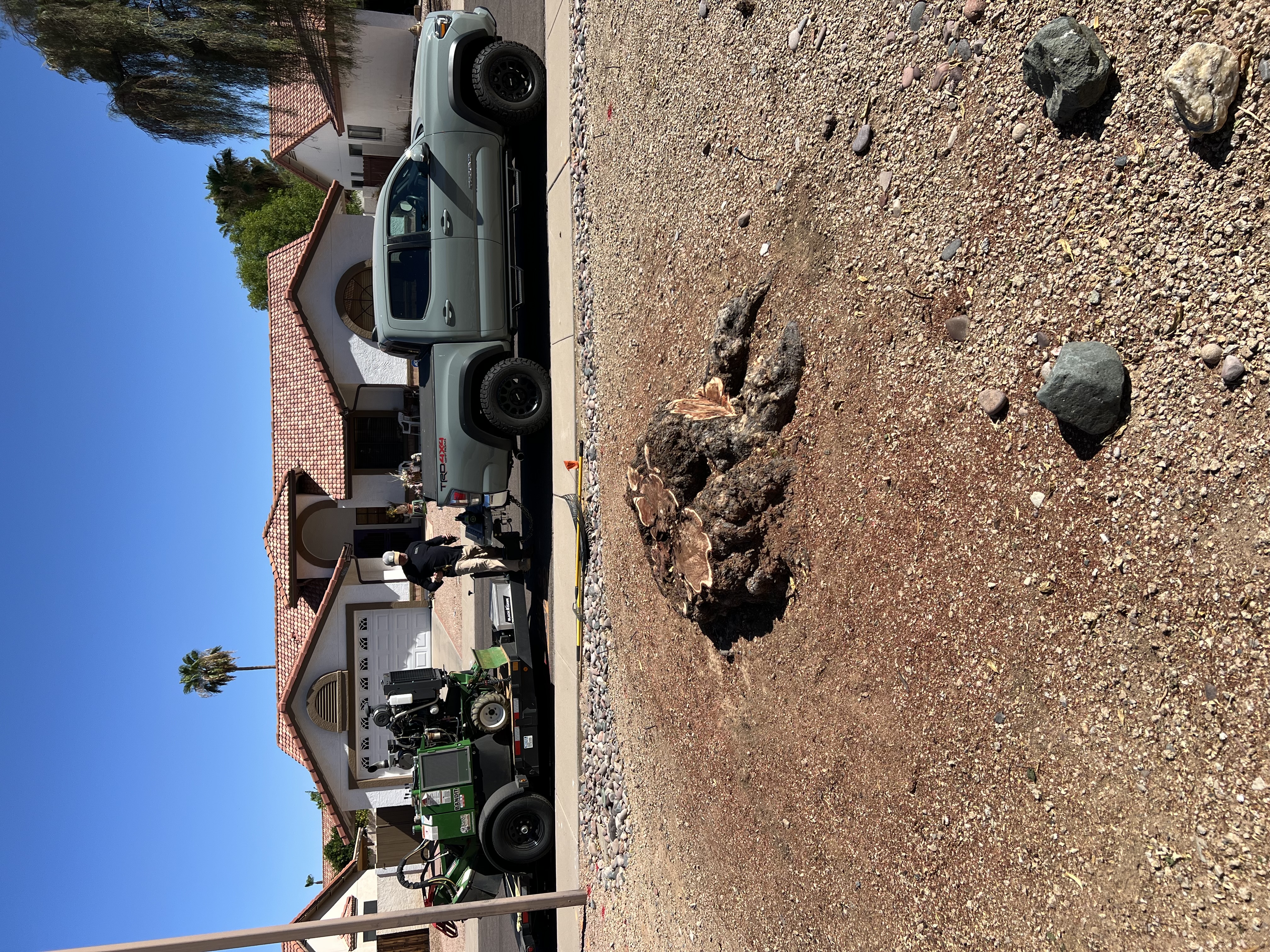 Tree stump before professional grinding — Phoenix Valley, AZ